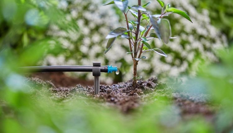 Zielony ogród z zainstalowanym systemem nawadniania Gardena, tryskająca woda z zraszaczy