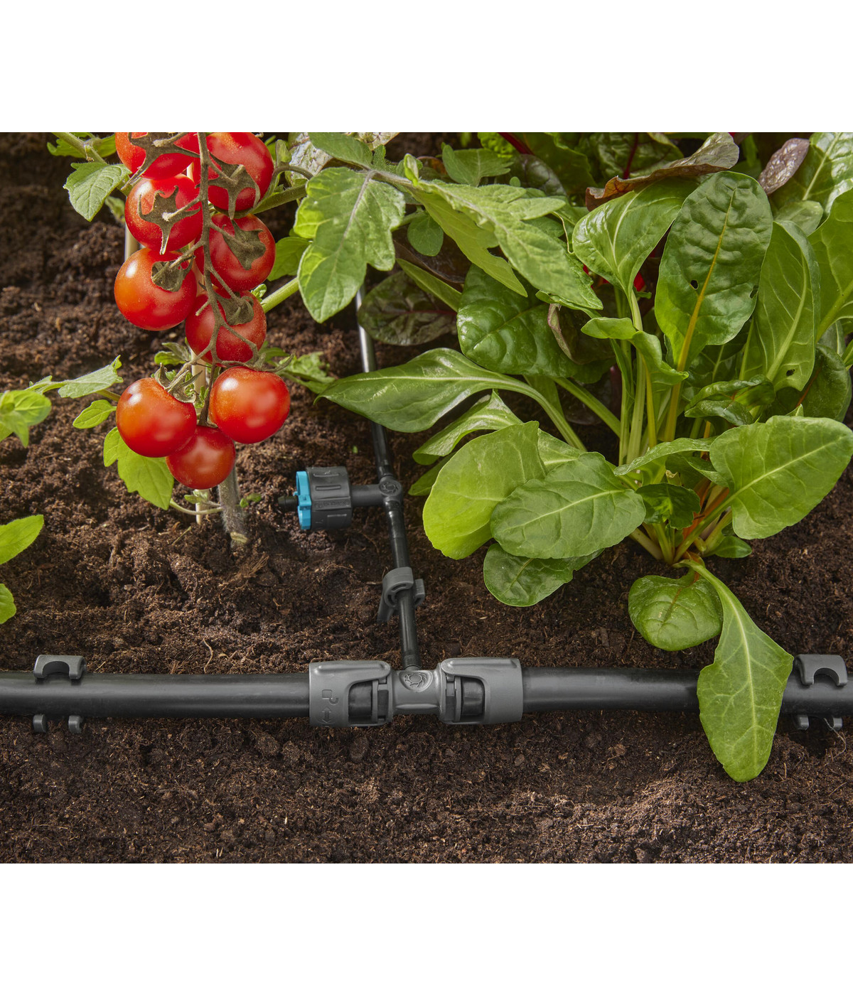 Dysza oscylacyjna Gardena zraszająca wąskim strumieniem krzewy i kwiaty rabatowe